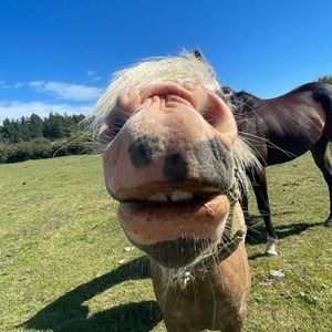 Meet your Posher, Carly